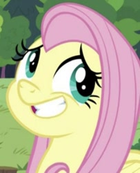 Size: 257x316 | Tagged: safe, derpibooru import, screencap, fluttershy, pegasus, pony, memnagerie, spoiler:memnagerie, spoiler:mlp friendship is forever, cropped, faic, solo