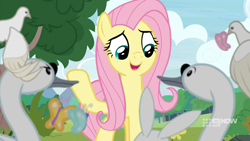 Size: 1280x720 | Tagged: safe, derpibooru import, screencap, fluttershy, pegasus, pony, memnagerie, spoiler:memnagerie, spoiler:mlp friendship is forever