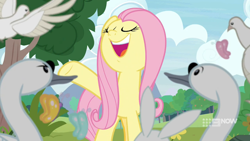 Size: 1280x720 | Tagged: safe, derpibooru import, screencap, fluttershy, pegasus, pony, memnagerie, spoiler:memnagerie, spoiler:mlp friendship is forever