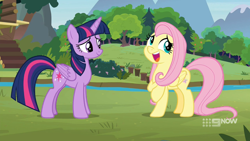 Size: 1280x720 | Tagged: safe, derpibooru import, screencap, fluttershy, twilight sparkle, twilight sparkle (alicorn), alicorn, pegasus, pony, memnagerie, spoiler:memnagerie, spoiler:mlp friendship is forever, duo