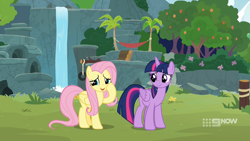 Size: 1280x720 | Tagged: safe, derpibooru import, screencap, fluttershy, twilight sparkle, twilight sparkle (alicorn), alicorn, pegasus, pony, memnagerie, spoiler:memnagerie, spoiler:mlp friendship is forever, duo