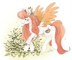 Size: 900x750 | Tagged: safe, artist:clovenfawn, oc, oc only, oc:arvensis, pegasus, pony, blush marks, blushing, bracelet, colored wings, colored wingtips, female, flower, flower in hair, jewelry, mare, plant, solo, wings