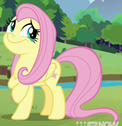 Size: 508x524 | Tagged: safe, derpibooru import, screencap, fluttershy, pegasus, pony, memnagerie, spoiler:memnagerie, spoiler:mlp friendship is forever, cropped, duckery in the comments, solo