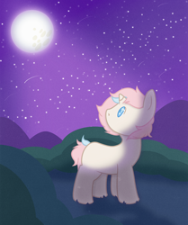 Size: 2250x2697 | Tagged: safe, artist:blissprism, oc, oc only, oc:bubble bliss, pony, unicorn, bush, full moon, high res, horn, male, moon, night, night sky, scenery, sky, stars, vector, younger