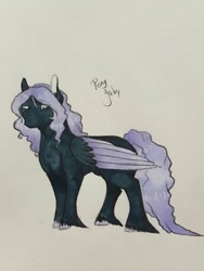 Size: 1536x2048 | Tagged: safe, artist:theblackcatstale, oc, oc only, pegasus, pony, hoof fluff, pegasus oc, solo, text, traditional art, wings