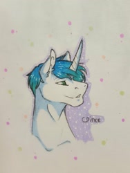 Size: 1536x2048 | Tagged: safe, artist:theblackcatstale, oc, oc only, pony, unicorn, bust, horn, solo, traditional art, unicorn oc