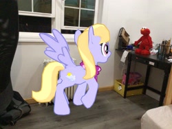 Size: 3272x2456 | Tagged: safe, artist:topsangtheman, cloud kicker, pegasus, pony, augmented reality, elmo, gameloft, irl, photo, ponies in real life, raised hoof, shocked, wings