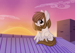 Size: 2651x1874 | Tagged: safe, artist:per_siiik, oc, oc only, oc:katya, pegasus, pony, base used, female, glasses, house, mare, photo, roof, rooftop, solo, sunset