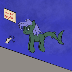 Size: 1024x1024 | Tagged: safe, artist:ahorseofcourse, oc, oc only, original species, shark, shark pony, annoyed, solo