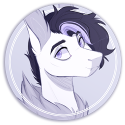 Size: 658x658 | Tagged: safe, artist:sararini, oc, oc only, oc:nightcrawler, pony, bust, male, portrait, simple background, solo, stallion, transparent background