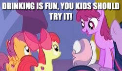 Size: 373x217 | Tagged: safe, edit, edited screencap, screencap, apple bloom, berry punch, berryshine, scootaloo, sweetie belle, twilight sparkle, twilight sparkle (alicorn), alicorn, earth pony, pegasus, pony, unicorn, celestial advice, bad advice, bad influence, caption, cutie mark crusaders, female, filly, image macro, mare, text