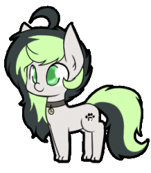 Size: 256x294 | Tagged: artist needed, safe, oc, oc only, oc:bree jetpaw, dog, dog pony, earth pony, animated, bouncer, collar, paws, simple background, solo, transparent background