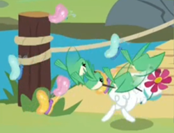 Size: 1180x900 | Tagged: safe, edit, edited screencap, screencap, angel bunny, bird, hummingbird, memnagerie, spoiler:memnagerie, spoiler:mlp friendship is forever, 9now, bridge, chase, cropped, flower, outdoors, watermark