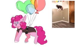 Size: 1263x788 | Tagged: dead source, safe, artist:amethesaladhair, derpibooru import, pinkie pie, dog, earth pony, pony, balloon, comparison, floating, goggles, harness, irl, meme, photo, ponified meme, solo, then watch her balloons lift her up to the sky, vulgar description