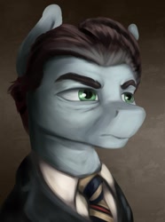 Size: 1280x1724 | Tagged: safe, artist:dukevonkessel, earth pony, pony, equestria at war mod, bust, male, portrait, solo