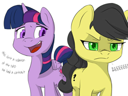 Size: 800x600 | Tagged: safe, twilight sparkle, twilight sparkle (alicorn), oc, oc:anon, alicorn, earth pony, pony, anarcho-capitalism, dialogue, implied transformation, palette swap, recolor, reeee