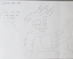Size: 2231x1783 | Tagged: safe, artist:sketchwork_gd_inuk, gallus, griffon, birb, black and white, blushing, dialogue, grayscale, male, monochrome, solo, traditional art