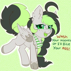 Size: 3000x3000 | Tagged: safe, artist:pegamutt, oc, oc only, oc:bree jetpaw, dog, dog pony, original species, pegasus, angry, clothes, coronavirus, covid-19, female, fluffy, freckles, mare, open mouth, paws, scarf, solo, text, threat