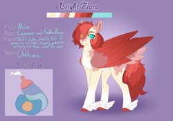 Size: 3500x2454 | Tagged: safe, artist:clay-bae, oc, oc:bright flare, pegasus, pony, eye clipping through hair, feathered fetlocks, male, offspring, parent:cayenne, parent:feather bangs, solo, stallion