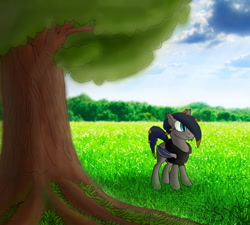 Size: 2000x1800 | Tagged: safe, artist:greenwintersky, oc, oc:black knight, bat pony, pony, clothes, cloud, cloudy, fluffy, forest, happy, hoodie