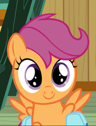 Size: 715x937 | Tagged: safe, screencap, scootaloo, pony, growing up is hard to do, cropped, cute, cutealoo, looking at you, smiling, solo