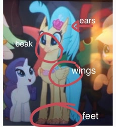 Size: 574x623 | Tagged: safe, edit, edited screencap, screencap, princess skystar, hippogriff, my little pony: the movie, april fools, circled, cropped, op is a cuck