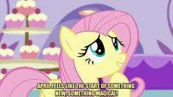 Size: 1280x720 | Tagged: safe, derpibooru import, edit, edited screencap, editor:jaredking203, screencap, fluttershy, pegasus, pony, canterlot boutique, caption, female, image macro, mare, meme, raised hoof, text, tomodachi life