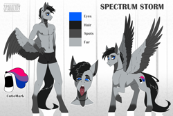 Size: 3000x2000 | Tagged: safe, artist:sparklyon3, oc, oc:spectrum storm, anthro, pegasus, bisexual pride flag, pride, pride flag, reference sheet