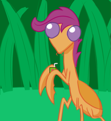 Size: 549x600 | Tagged: artist needed, safe, scootaloo, mantis, juice, juice box, species swap, wat