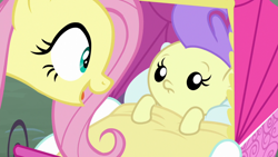 Size: 1920x1080 | Tagged: safe, derpibooru import, screencap, angel bunny, cream puff, fluttershy, pony, she talks to angel, baby, baby carriage, baby pony, body swap, female, mare