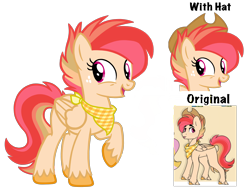 Size: 4500x3375 | Tagged: safe, artist:avatarmicheru, oc, oc only, oc:apple rush, pegasus, pony, bandana, female, hat, magical lesbian spawn, mare, offspring, parent:applejack, parent:rainbow dash, parents:appledash, simple background, solo, transparent background