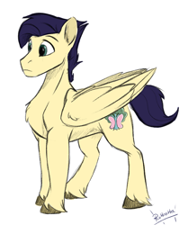 Size: 1105x1323 | Tagged: safe, artist:rutkotka, oc, pegasus, commission, male, next generation, parent:fluttershy, stallion, standing