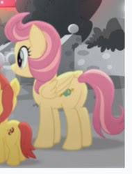 Size: 219x288 | Tagged: safe, screencap, pegasus, pony, rainbow roadtrip, background pony, cropped, female, mare, offscreen character, rose honey, solo focus, unnamed character, unnamed pony