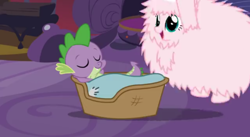Size: 496x272 | Tagged: safe, artist:mixermike622, spike, oc, oc:fluffle puff, dragon, pony, blanket, covered, cute, duo, flufflebetes, fluffy, pillow, sleeping, spike's bed, to be continued