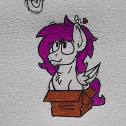 Size: 1725x1725 | Tagged: safe, artist:drheartdoodles, oc, oc only, oc:dr.heart, pegasus, behaving like a cat, box, chest fluff, clydesdale, coloring, smiling, solo, traditional art