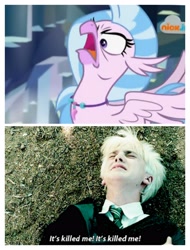 Size: 3106x4096 | Tagged: safe, edit, edited screencap, screencap, silverstream, hippogriff, what lies beneath, angry, comparison, cute, diastreamies, draco malfoy, faic, harry potter and the prisoner of azkaban