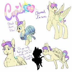 Size: 1024x1024 | Tagged: safe, artist:farewelldecency, oc, oc:cupido di tenero amore, pegasus, armor, offspring, parent:princess cadance, parent:shining armor, parents:shiningcadance, reference sheet