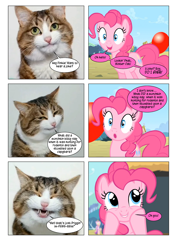 Size: 868x1228 | Tagged: safe, artist:dziadek1990, derpibooru import, edit, edited screencap, screencap, pinkie pie, cat, earth pony, pony, balloon, comic, conversation, dialogue, irl cat, joke, photo, pun, rhyme, screencap comic, text, wordplay