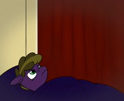 Size: 1200x976 | Tagged: safe, artist:wyntermoon, oc, oc:wyntermoon, earth pony, pony, ah yes me my girlfriend and her x, bed, bedroom, curtains, male, meme, multicolored hair, solo, stallion