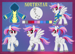 Size: 4096x2989 | Tagged: safe, artist:sciggles, oc, oc:northstar, pegasus, clothes, hoodie, pegasus oc, reference sheet, wings, wonderbolts