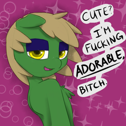 Size: 800x800 | Tagged: safe, artist:telsa, oc, oc only, oc:telsie, pony, chest fluff, dialogue, female, looking at you, mare, solo, talking to viewer, vulgar