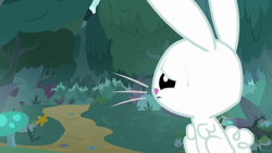 Size: 1920x1080 | Tagged: safe, derpibooru import, screencap, angel bunny, fluttershy, rabbit, she talks to angel, animal, body swap, everfree forest, forest, male, mushroom, solo, tree