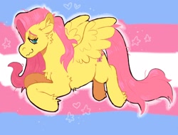 Size: 2332x1773 | Tagged: safe, artist:kittycoot, fluttershy, pegasus, pony, flying, heart, lgbt headcanon, pride, pride flag, solo, stars, transgender pride flag