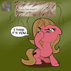 Size: 800x800 | Tagged: safe, artist:wadusher0, oc, oc:pun, earth pony, pony, ask, ask pun, female, mare, solo