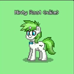 Size: 371x370 | Tagged: safe, artist:lekonar13, oc, oc:minty root, pony, green background, pony town, rule 63, simple background