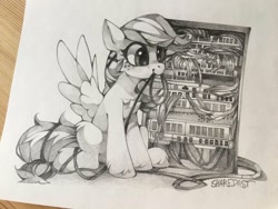 Size: 1920x1440 | Tagged: safe, artist:share dast, oc, oc only, oc:summer ray, pegasus, pony, server, solo, traditional art, wires