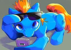 Size: 1280x905 | Tagged: safe, artist:ilp0, teddy, earth pony, pony, g1, my little pony tales, cutie mark, digital art, game, game boy, hooves, kirby, kirby's dream land, looking at you, male, nintendo, solo, stallion, sunglasses, tail
