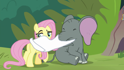 Size: 1920x1080 | Tagged: safe, derpibooru import, screencap, angel bunny, fluttershy, muriel, elephant, pegasus, pony, she talks to angel, baby elephant, body swap, cloth, duo, eyes closed, female, indifferent, lidded eyes, male, mare, not fluttershy, obscured face, plot, raised eyebrow, raised hoof, removal, sitting, underhoof