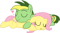 Size: 912x498 | Tagged: safe, artist:didgereethebrony, artist:drunkencoffee, derpibooru import, fluttershy, oc, oc:didgeree, pegasus, pony, base used, butt pillow, canon x oc, cute, cutie mark, floating heart, heart, shipping, simple background, sleeping, trace, transparent background