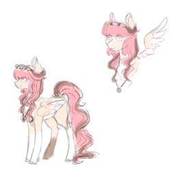 Size: 1000x1000 | Tagged: safe, artist:angelic-shield, oc, oc:sakura, pegasus, :p, colored sketch, female, mare, pegasus oc, simple background, smiling, solo, tongue out, wings